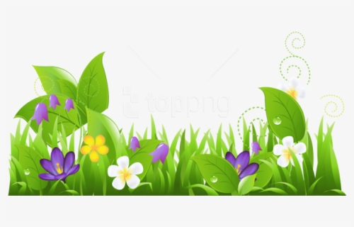 Free Png Download Grass And Flowers Png Images Background, Transparent Png, Free Download