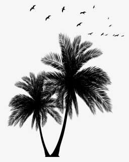 Palms Png , Png Download, Transparent Png, Free Download