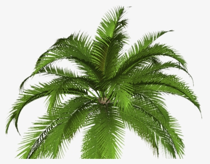 Free High Resolution Graphics And Clip Art, HD Png Download, Free Download