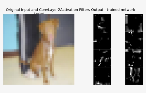 Transparent Dog Filter Png, Png Download, Free Download