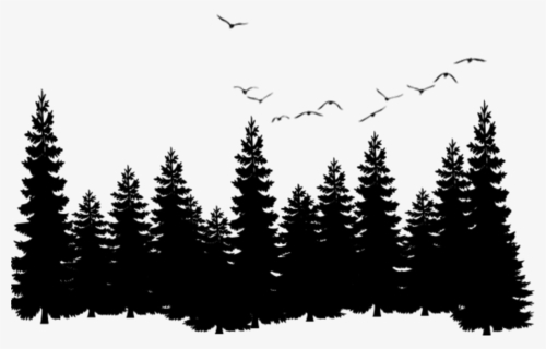 Download Ftestickers Birds Trees Forest Silhouette Hd Png Download Kindpng