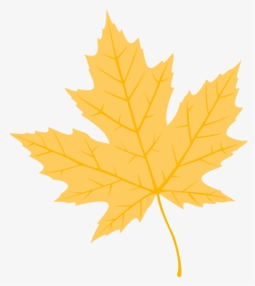 Fall Leaf Png, Transparent Png, Free Download