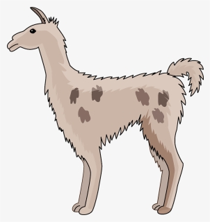 Llama Clipart, HD Png Download, Free Download