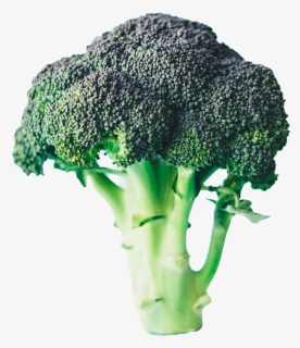 Green Broccoli Background Png, Transparent Png, Free Download