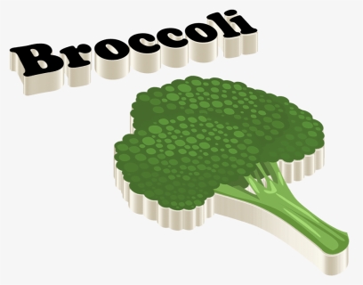 Broccoli Png Images, Transparent Png, Free Download