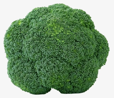 Green Broccoli Png Transparent Picture, Png Download, Free Download
