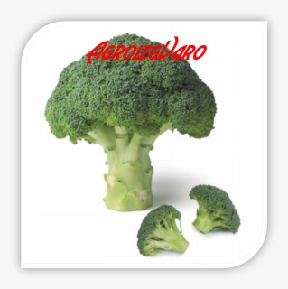 Seminte De Broccoli Agassi F1, HD Png Download, Free Download