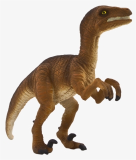 Velociraptor Png, Transparent Png, Free Download