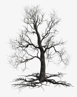 Scary Png, Transparent Png, Free Download