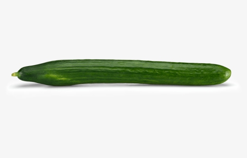 Cucumber Png, Transparent Png, Free Download
