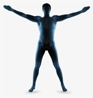 Transparent Muscle Arms Png, Png Download, Free Download