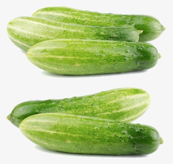 Cucumber Png, Transparent Png, Free Download