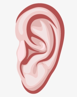 Ear Png Free Download, Transparent Png, Free Download