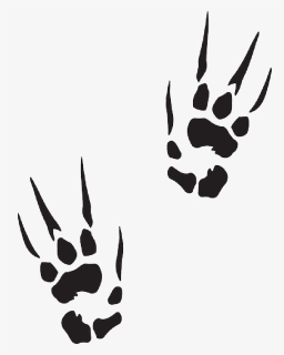 Marks, Animal, Claw, Tracks, Prints, Trail, Print,, HD Png Download, Free Download
