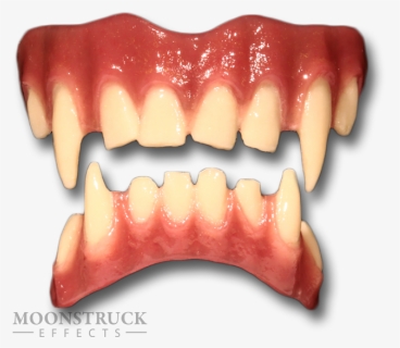 Werewolf Fangs Png, Transparent Png, Free Download
