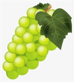 Grape Fruits Clipart, HD Png Download, Free Download