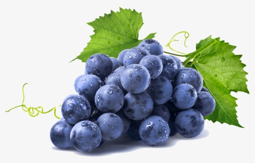 Grape Png, Transparent Png, Free Download
