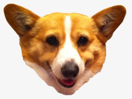 Pembroke Welsh Corgi Cardigan Welsh Corgi Dorgi Puppy, HD Png Download, Free Download