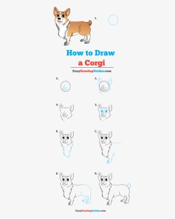 How To Draw Corgi, HD Png Download, Free Download