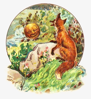 Колобок 19 Crop, HD Png Download, Free Download