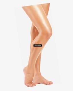Legs Png , Png Download, Transparent Png, Free Download