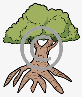 Tree Roots Png, Transparent Png, Free Download