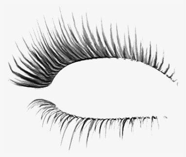 Lashes Transparent Image, HD Png Download, Free Download