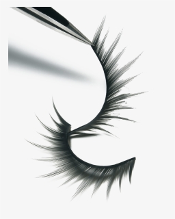 Lashes Png, Transparent Png, Free Download