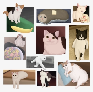 I Drew Some Cursed Cats, HD Png Download, Free Download