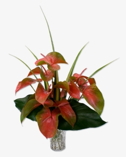 Cute Anthurium Pink Tropical Flower Lovely And Green, HD Png Download, Free Download
