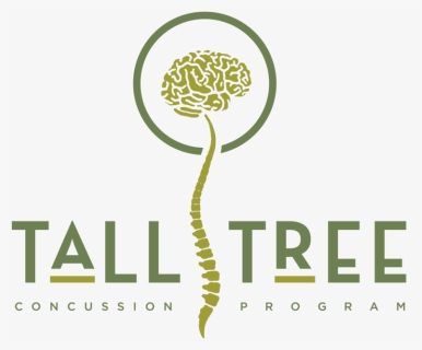 Concussion Program Logo, HD Png Download, Free Download