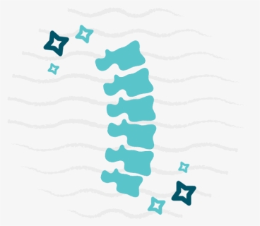 Spine Png, Transparent Png, Free Download