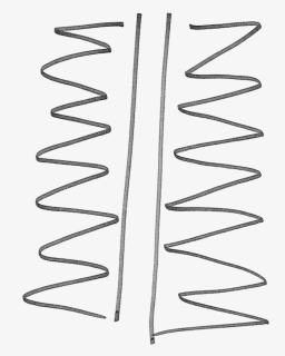 C-spine, HD Png Download, Free Download