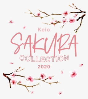 Sakura Collection｜京王百貨店 新宿店, HD Png Download, Free Download