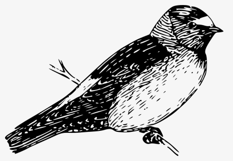Cliff Png, Transparent Png, Free Download