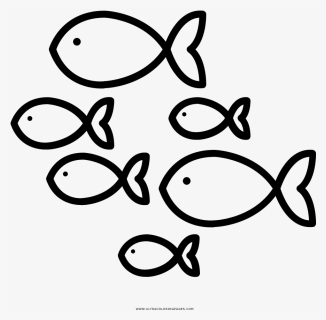 School Of Fish Coloring Page, HD Png Download, Free Download