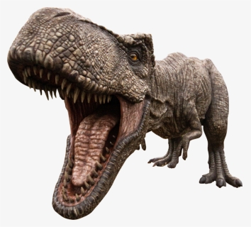 Trex Png, Transparent Png, Free Download