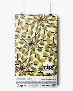 Paper Rip Png, Transparent Png, Free Download