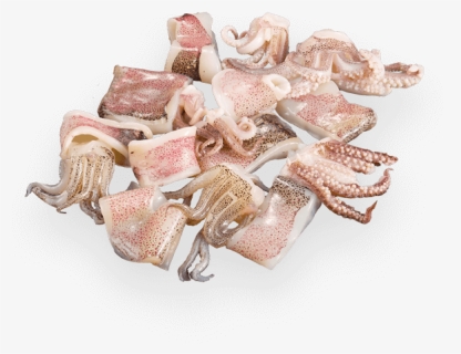 Patagonian Squid Rings And Tentacles, HD Png Download, Free Download