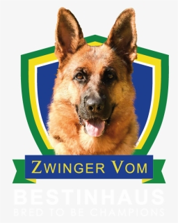 Zwinger Vom Bestinhaus, HD Png Download, Free Download