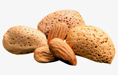 Nuts Transparent Almond, HD Png Download, Free Download