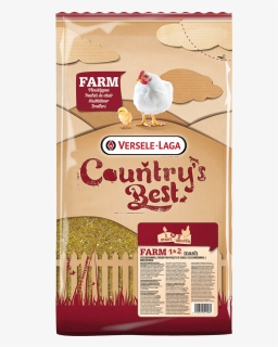 Broiler Chicken Png, Transparent Png, Free Download