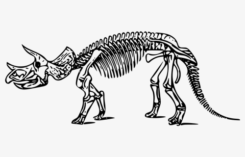 Svg Dinosaur Triceratops - Dinosaur Skeleton Coloring Page, HD Png Download, Free Download