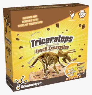 Fossil Excavation Triceratops , Png Download - Triceratops, Transparent Png, Free Download