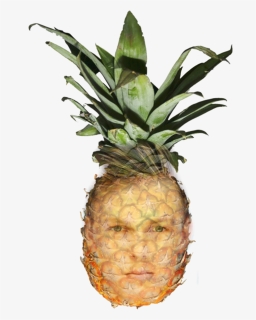 Transparent Tumblr Pineapple Png - Pineapple Photoshop, Png Download, Free Download