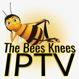 #iptv #streams #fhd #hd #m3u #deals #kodi The Best - Bees Knees Iptv, HD Png Download, Free Download