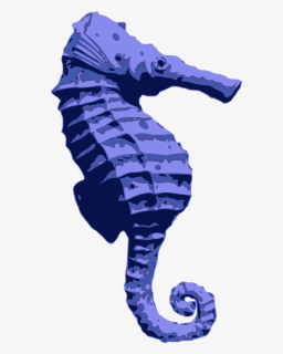 Blue Seahorse - Seahorse Png Blue, Transparent Png, Free Download