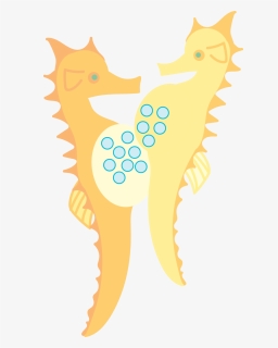 Seahorse - Illustration, HD Png Download, Free Download