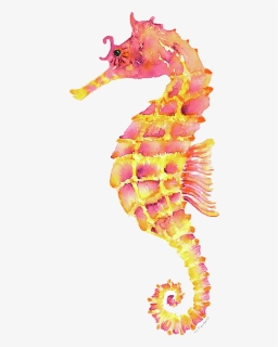 Watercolor Sea Horse, HD Png Download, Free Download