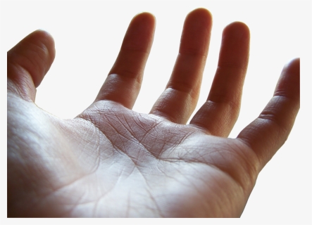 Open Palm Png - Open Hand Palm Up, Transparent Png, Free Download